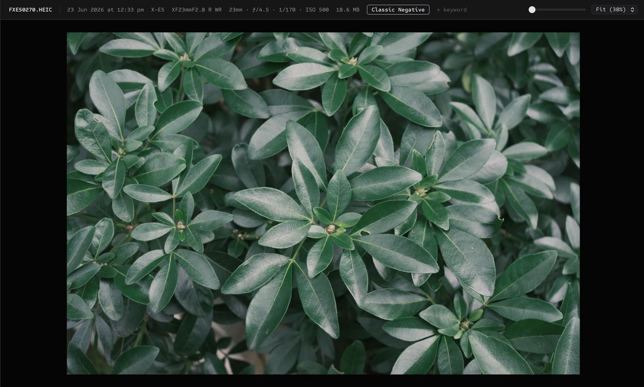 Proof Loupe showing a Fujifilm photograph and its film simulation metadata